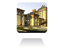 �¿�ɭ����